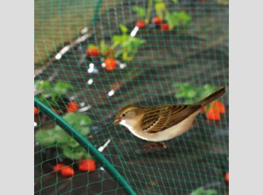 Garden - Anti Bird Netting