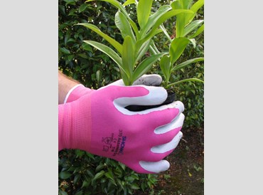 Garden - Gloves Showa - Medium