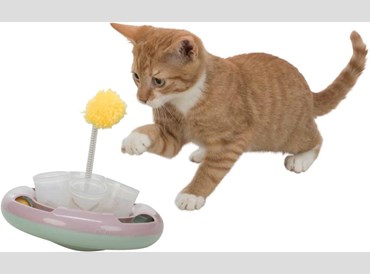 Pet - Cat Junior Snack & Play 18cm